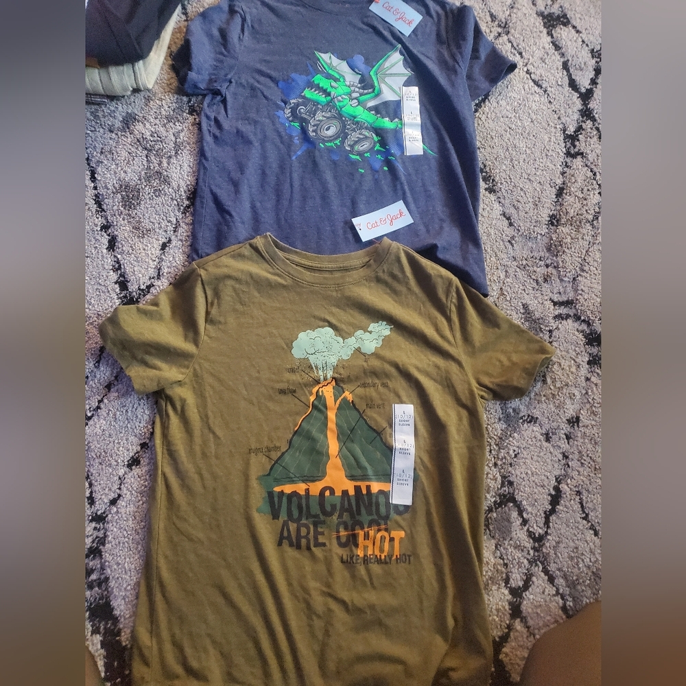 Cat & Jack Kids Graphic T-Shirts - Blue and Brown 2 New With